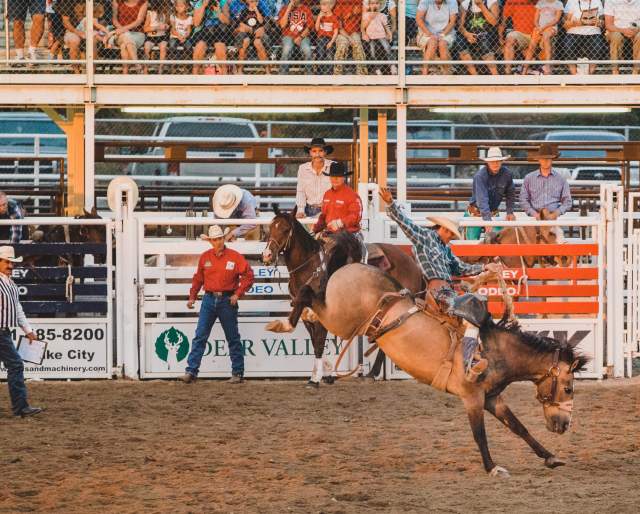 Bronco Riding at the Oakley Rodeo