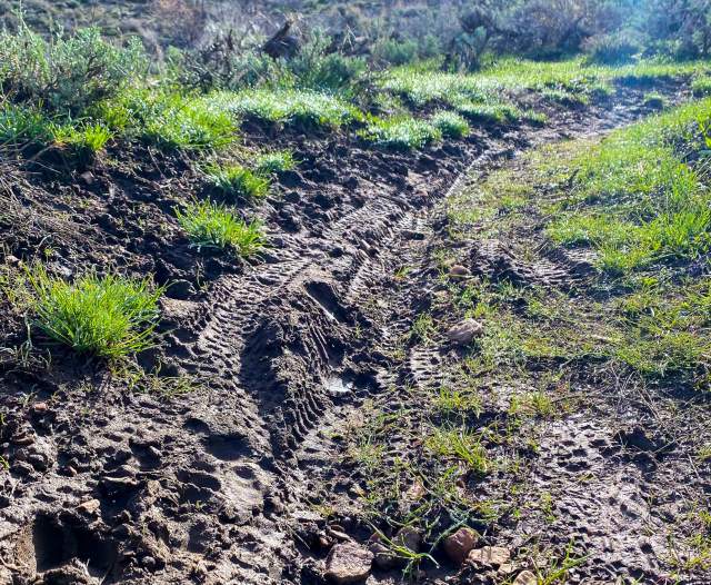 Tips to Avoid Spring Trail Damage