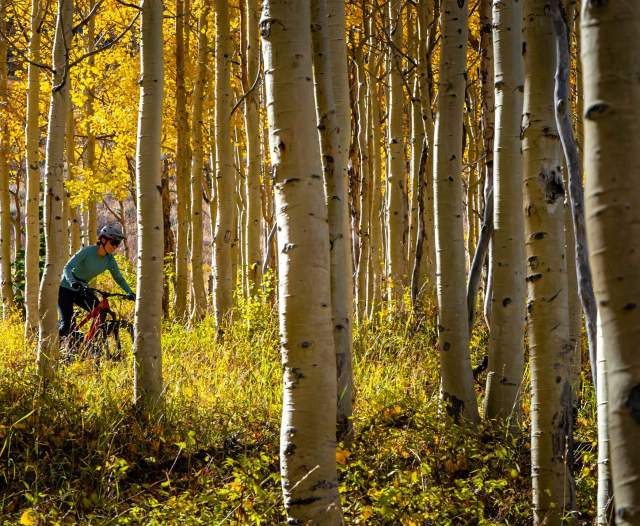 Intermediate Mountain Bike Rides in Park City