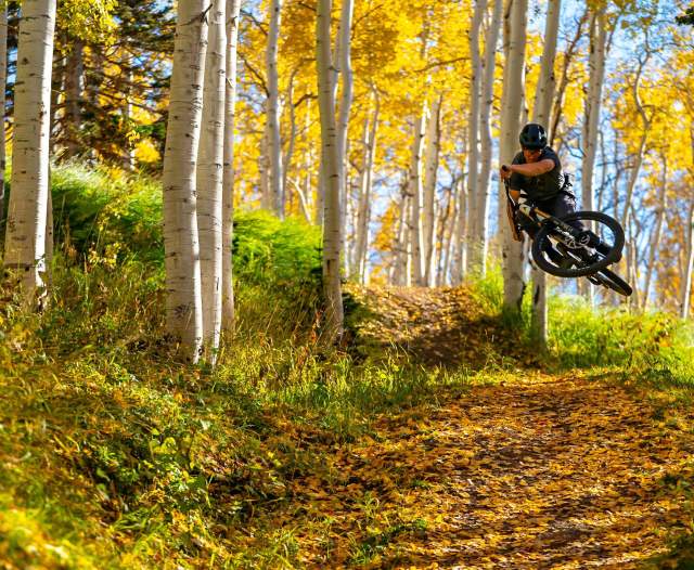 Expert Mountain Bike Rides in Park City