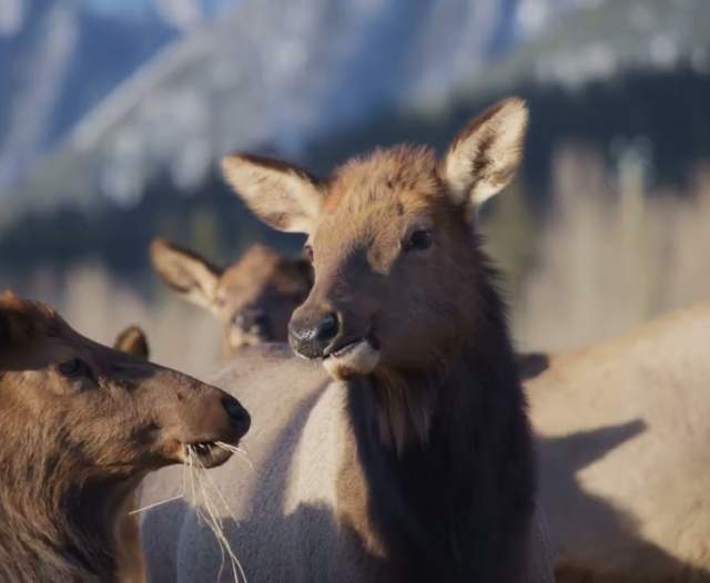 Swaner Preserve and EcoCenter