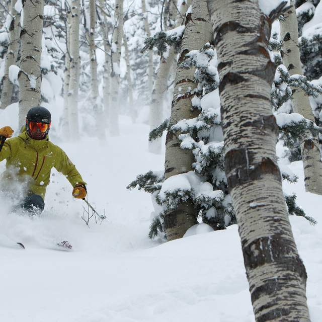 Basic Avalanche Awareness: Know Before You Go