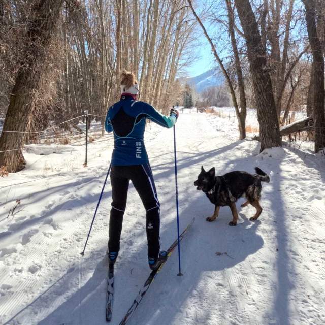 Where to Find the Best Dog-Friendly Cross Country Trails in Park City