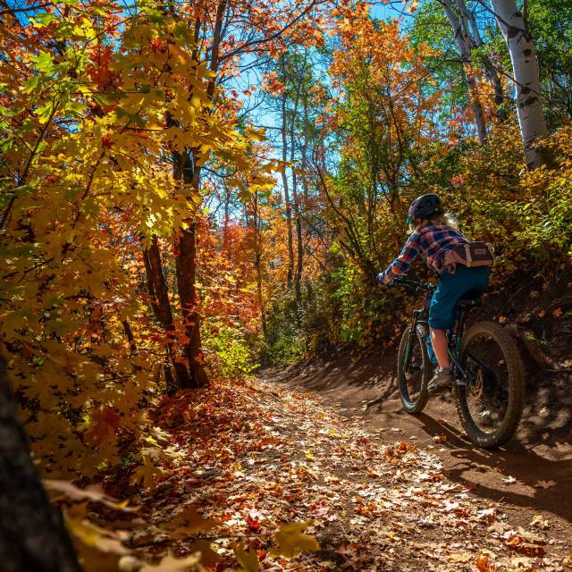 Beginner Mountain Bike Rides in Park City