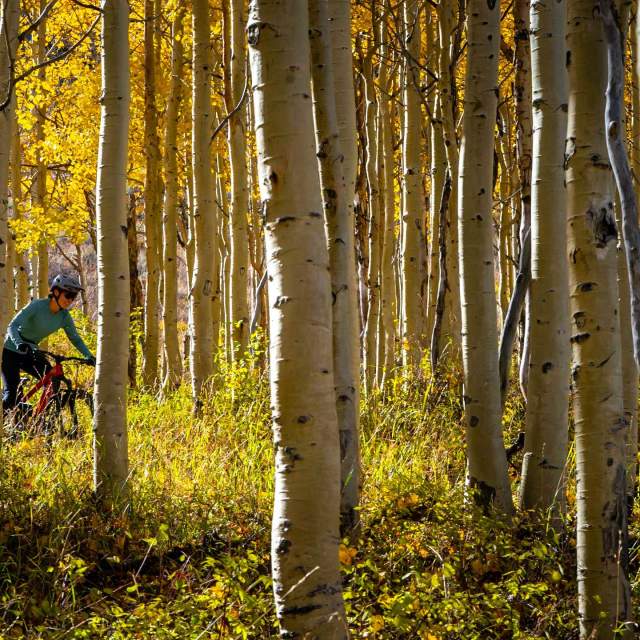 Intermediate Mountain Bike Rides in Park City