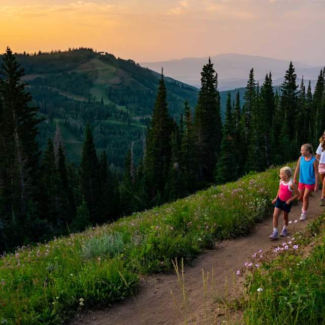 A family of four hikes on the 9k trail surrounded by green grass, flowers, and trees in Park City, UT