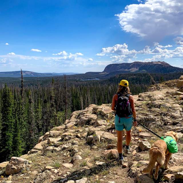 Trails for Dogs and Dog Etiquette