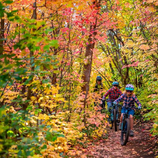 A family of mountain bikers ride through dense fall leaves in Park City, UT