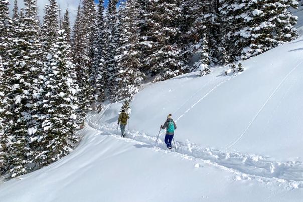 Two people entering forrest on snowshoe trail