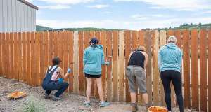 People painting a fence