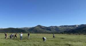 group working in field