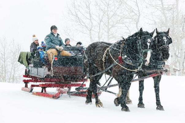 Boulder Mountain Ranch Sleigh Ride at Deer Valley Resort
