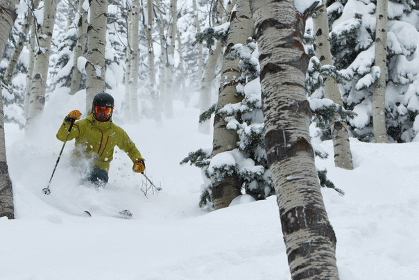 A skier carves through powder and aspen trees on a ski run in Park City, UT