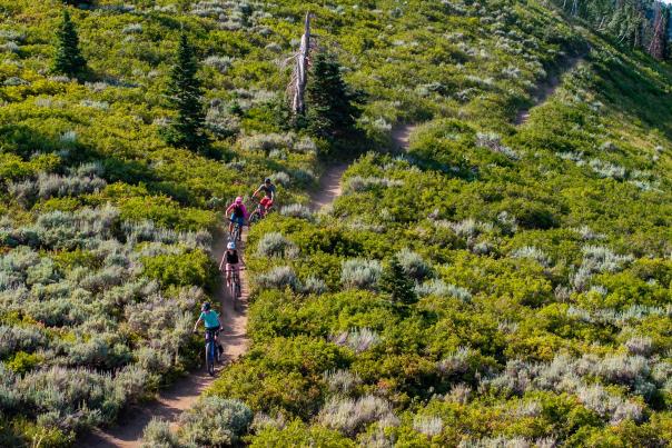 A family of four mountain bikes on a trail through a green meadow in Park City, UT