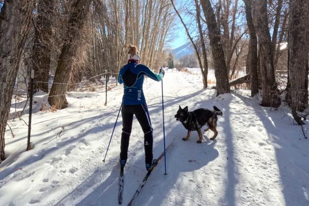 A Nordic skier skis with a playful dog on a trail through trees on a sunny day in Park City, UT