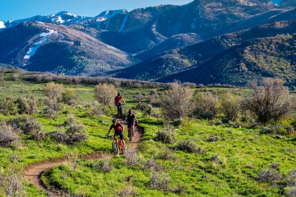 Three mountain bikers ride a trail through green grass and surrounded by snowy mountains in Park City, UT