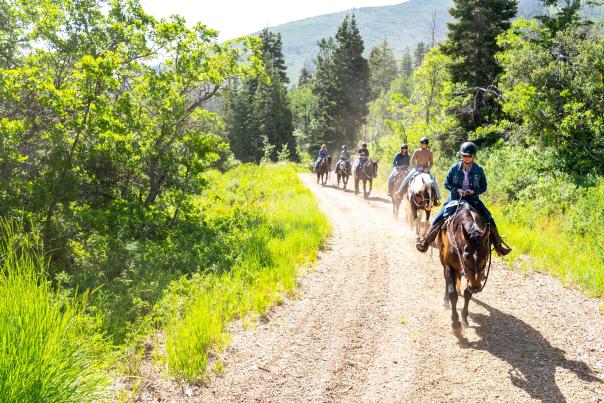 A group of people ride horses in a line down a dirt road surrounded by green foliage in Park  City, UT