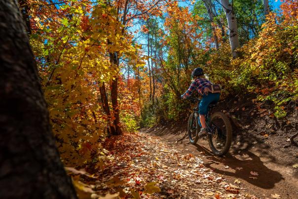 A beginner mountain biker rides on a smooth trail surrounded by colorful fall leaves in Park City, UT