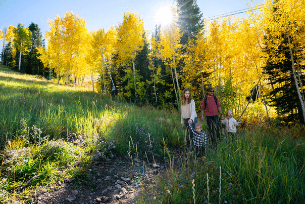 A young family of four hike on a trail surrounded by fall leaves at Deer Valley Resort in Park City, UT