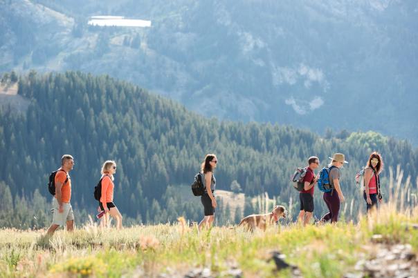 group of hikers with a dog from a distance