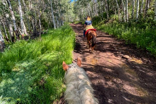 A horse back rider follows another on a wooded trail near Park City, UT