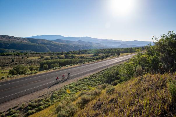 Three road cyclists on rural road on sunny day.