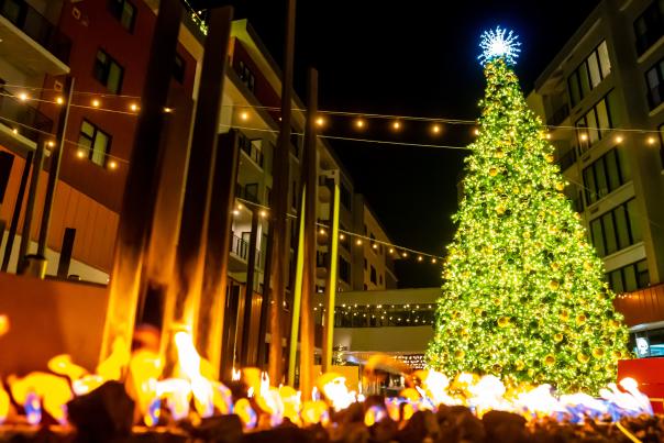 A christmas tree lit up at the Pendry Plaza near Park City, UT
