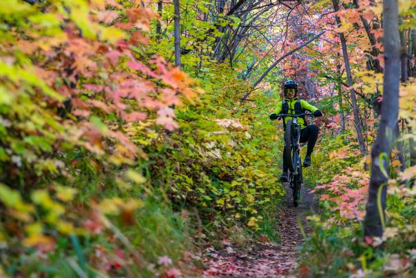 A mountain biker wheelies on a trail through a tunnel of fall leaves near Park City, UT