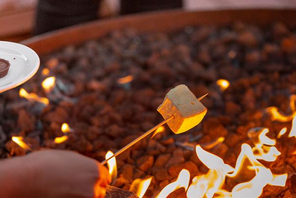 Roasting Smores over a firepit