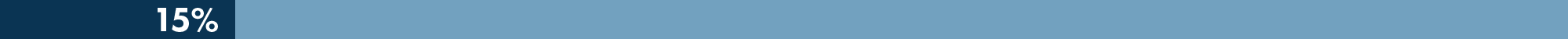 Objective 1 Progress Bar 15 Percent in light blue