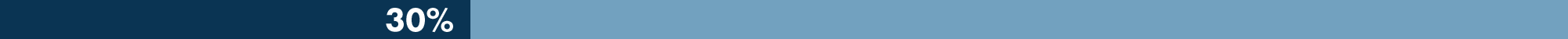 Objective 1 Progress Bar 30 Percent in light and dark blue