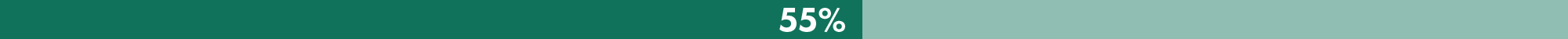 Objective 2 Progress Bar 55 Percent in dark and light green
