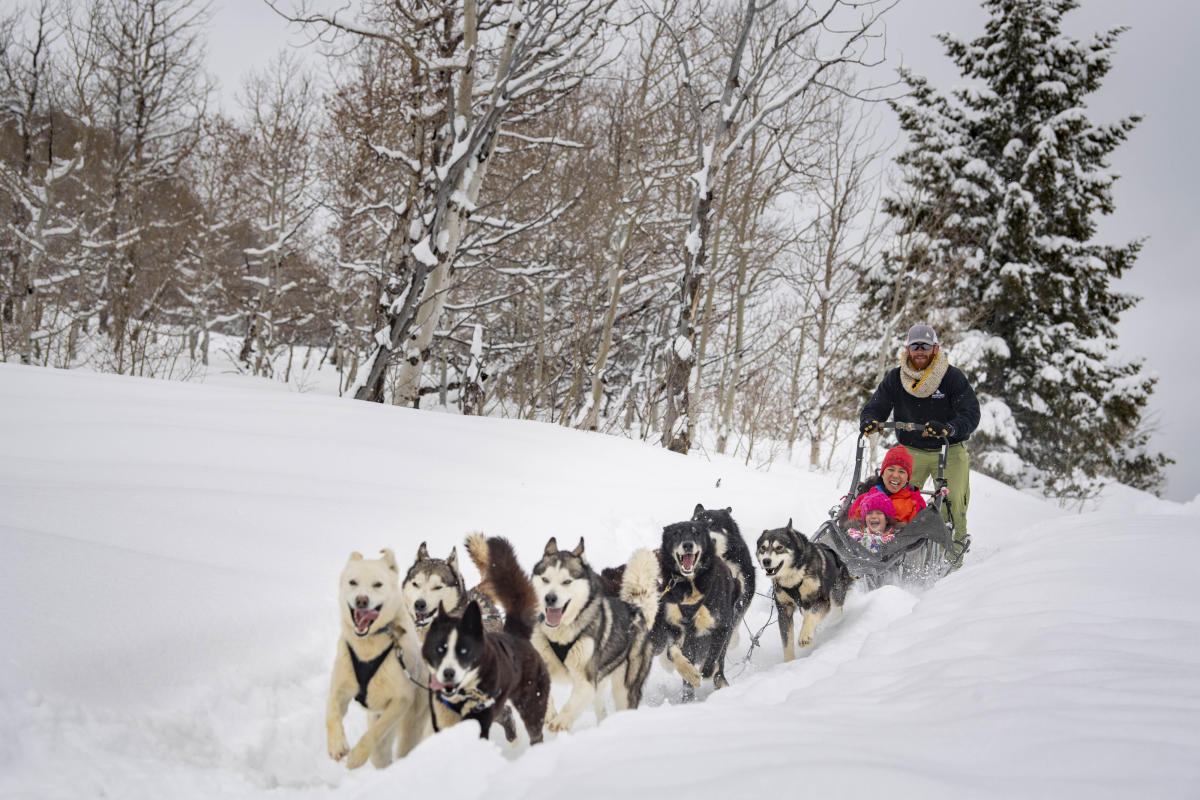 Dog Sledding in Park City | Winter Attractions \u0026 Huskies, image size:1200x800