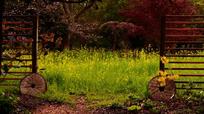Evening Garden Stroll
