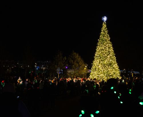 Tree Lighting Celebration 2026