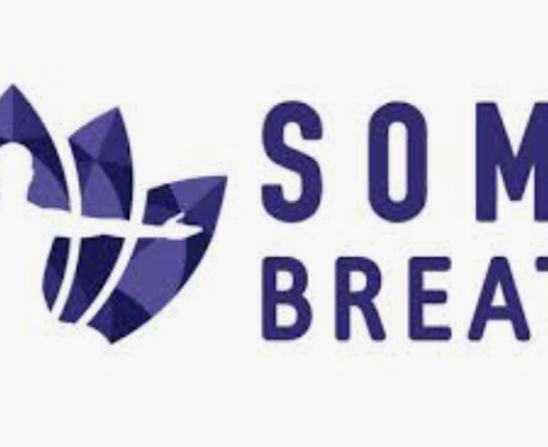 Soma Breath Energized Breathwork