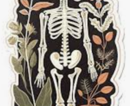 Bones & Botanicals