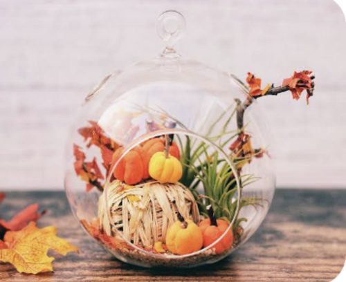 Autumnal Terrarium Building