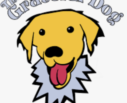 Grateful for Good Dogs: Dog Obedience