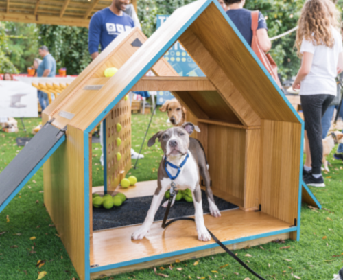 Barkitecture 2026