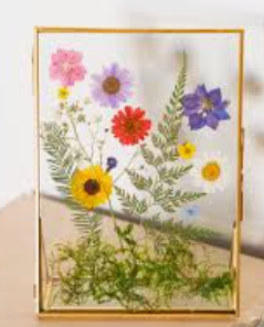 Pressed Floral Frames | Cary, NC 27511