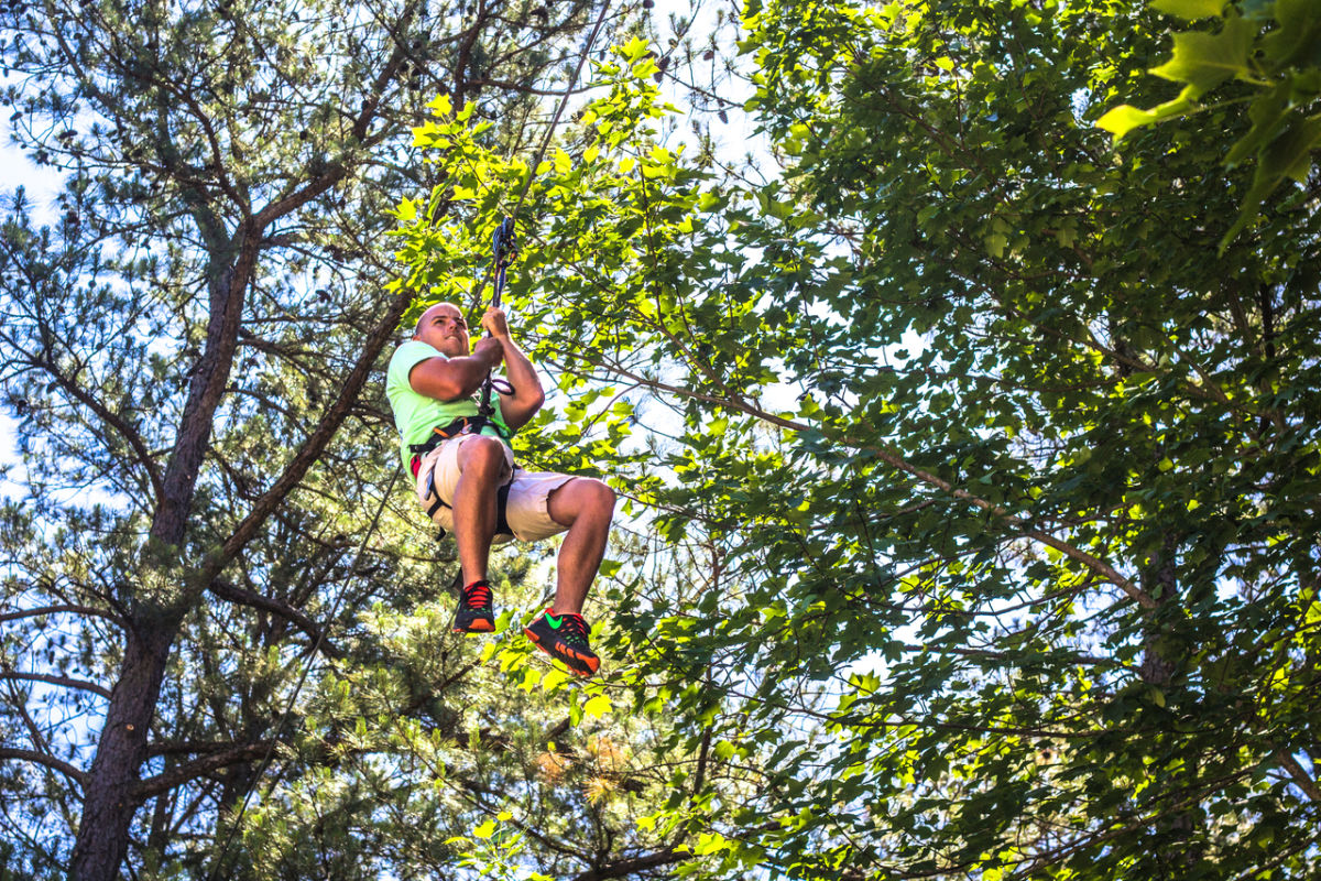 Tree Top Walk Raleigh Go Ape Treetop Adventure & Treetop Journey | Raleigh, NC 27614