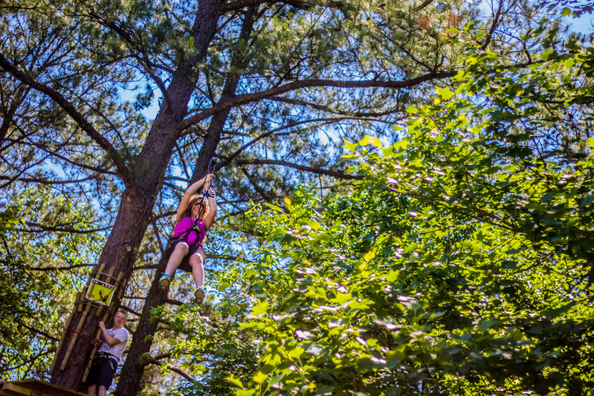 Tree Top Walk Raleigh Go Ape Treetop Adventure & Treetop Journey | Raleigh, NC 27614