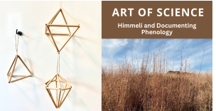 Art of Science: Himmeli and Documenting Phenology | Raleigh, NC 27607