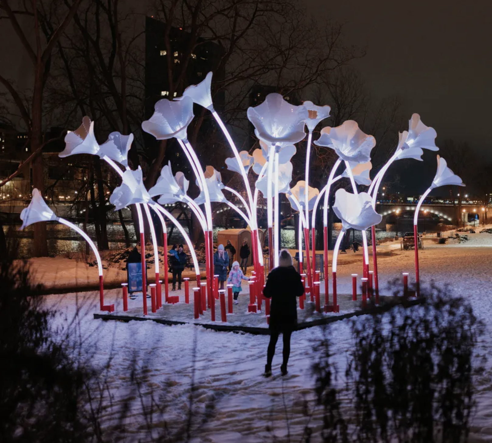 Downtown Raleigh Illuminate Art Walk | Raleigh, NC 27601