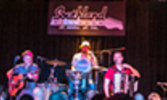 Live music performance