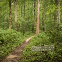 Seven Peaceful Nature Preserves to Explore in Raleigh, N.C.