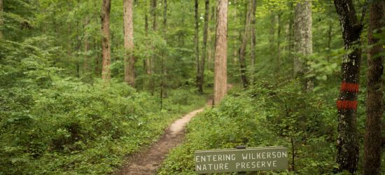 Seven Peaceful Nature Preserves to Explore in Raleigh, N.C.