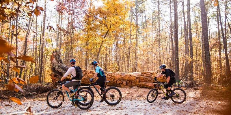 Three visitors ride their mountain bikes past chainsaw art in William B. Umstead State Park