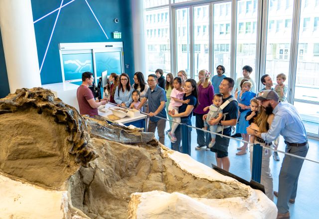 Dueling Dinosaurs at North Carolina Museum of Natural Sciences